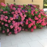 La Mimona