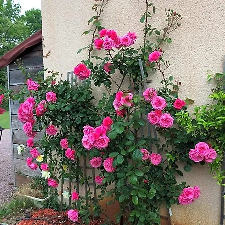 La Mimona Frühstückspension Sainte-Eulalie-en-Born