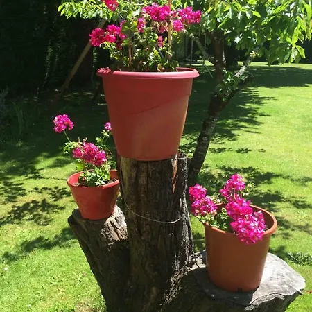 فندق مبيت وإفطار La Mimona 3*