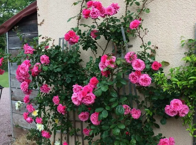 La Mimona Sainte-Eulalie-en-Born