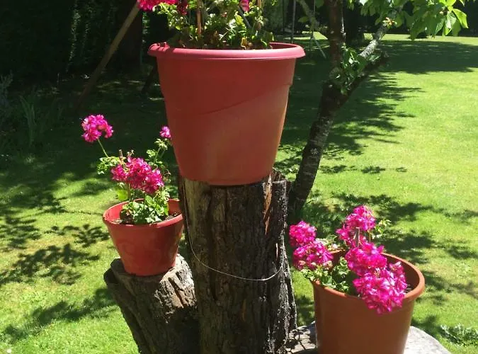 Bed & Breakfast La Mimona 3*